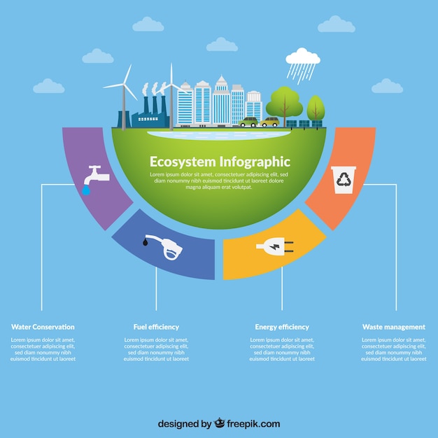 Ecosysteem infographic concept