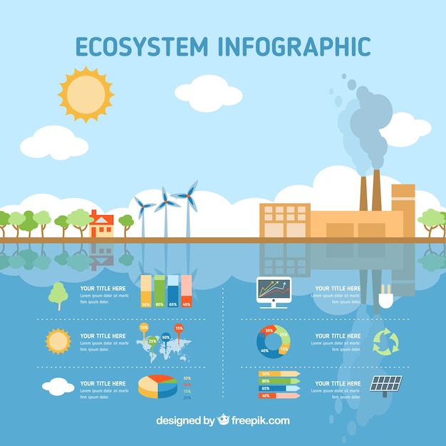 Ecosysteem infographics