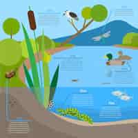 Gratis vector ecosysteemachtergrond infographic met dieren in habitat