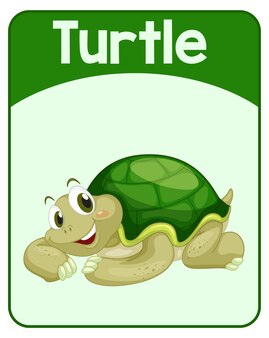 Educatieve engelse woordkaart van turtle