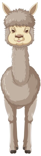 Een alpaca op witte achtergrond