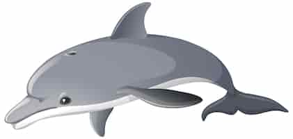 Gratis vector een dolfijn geïsoleerd op een witte achtergrond