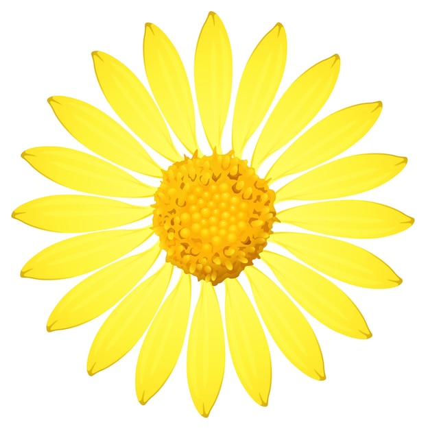 Gratis vector een gele zonnebloem