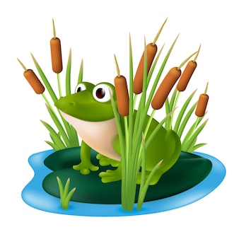Een groene kikker zittend op een lelieblad in een vijver met riet in het moerasgras. vectorillustratie van een stripfiguur in een struik van lisdodde geïsoleerd op een witte achtergrond