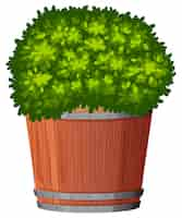 Gratis vector een groene plant in pot