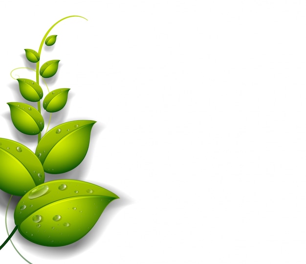 Gratis vector een groene plant met waterdruppels