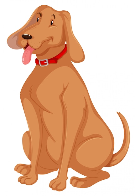 Gratis vector een hond geïsoleerd