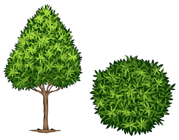 Gratis Vector een japanse bosbessenplant