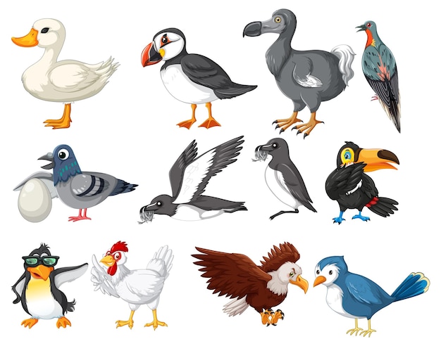 Gratis vector een kleurrijke collectie cartoonvogels