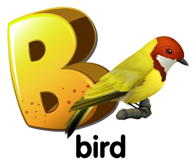 Gratis vector een letter b voor vogel