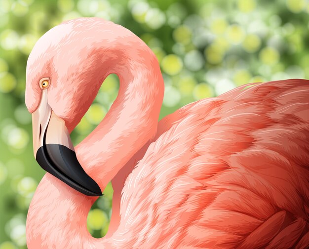 Een prachtige flamingo