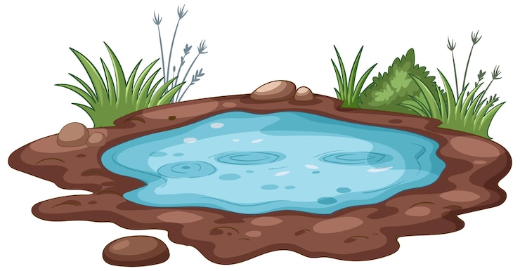 Gratis Vector een serene vijver met omringend gebladerte