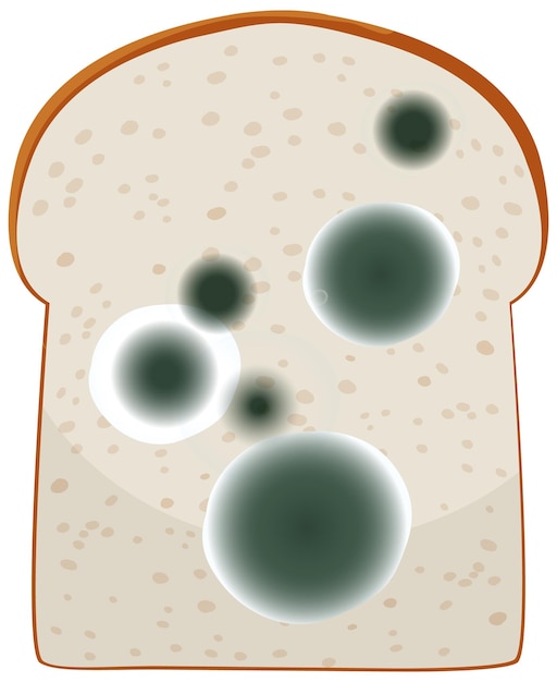 Gratis vector een stukje brood met schimmel