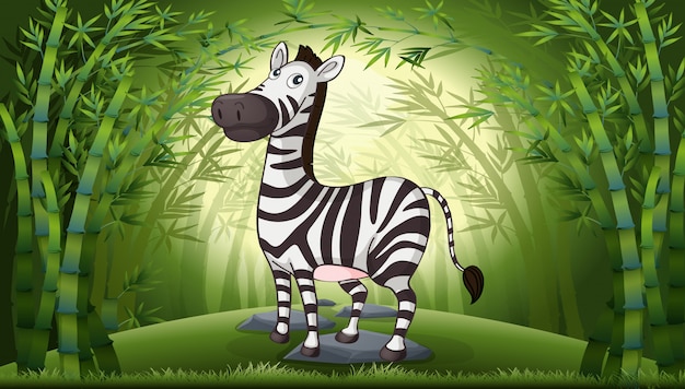 Een zebra in bamboebos