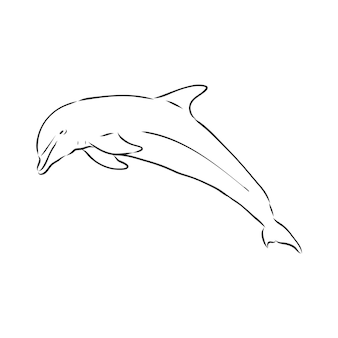 Eenvoudig dolfijnsilhouet. dolfijn, vector schets op een witte achtergrond