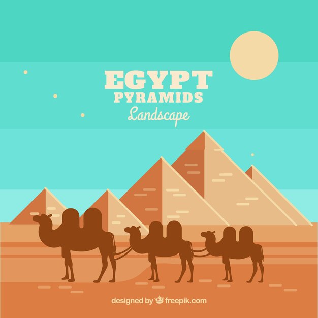 Egyptisch woestijnlandschap met piramides en caravan
