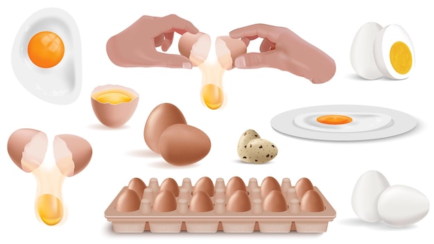 Gratis vector eieren koken realistische pictogrammenset gebakken hardgekookte rauwe eieren in de hand en in schelpen verpakte eieren vectorillustratie