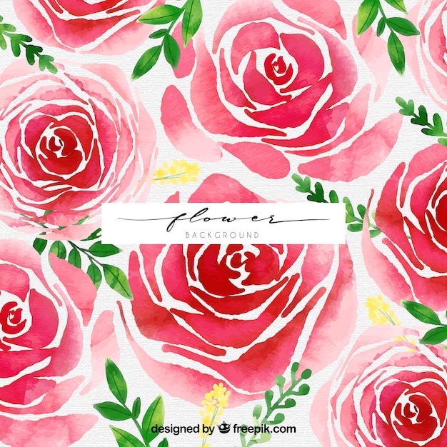 Gratis vector elegante achtergrond met waterverf rozen