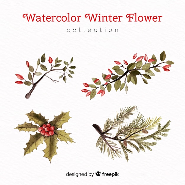 Gratis vector elegante aquarel winter bloemencollectie