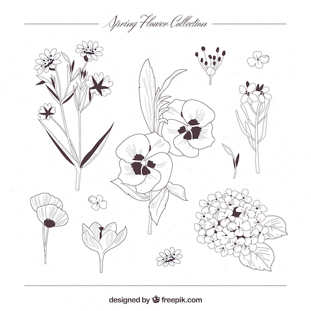 Gratis vector elegante lente bloemen collectie