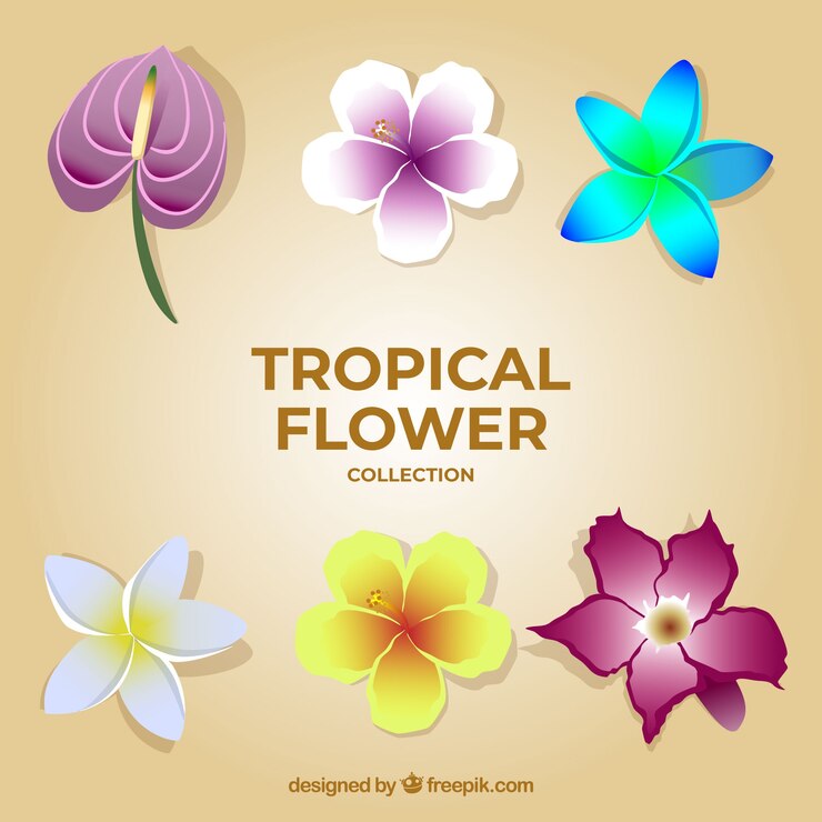 Gratis Vector elegante tropische bloeminzameling