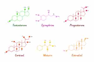 Gratis vector elementenverzameling van gradiënthormonen