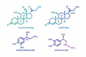 Gratis vector elementenverzameling van gradiënthormonen