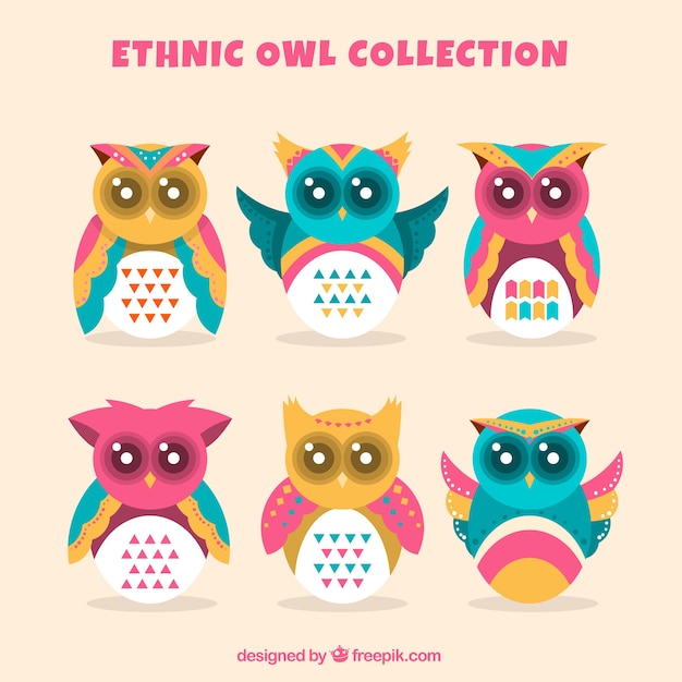 Gratis vector etnische uilcollectie