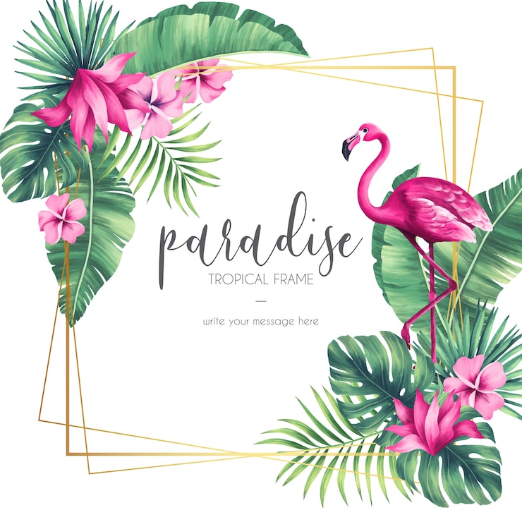 Gratis Vector exotisch frame met tropische elementen