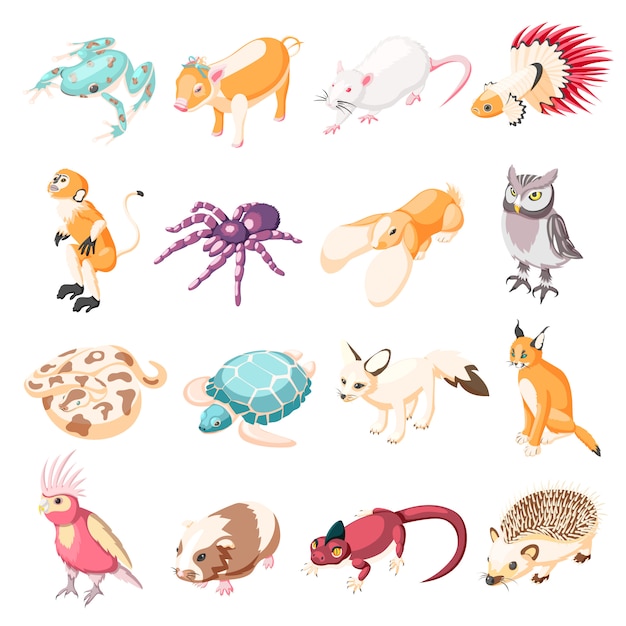 Gratis vector exotische huisdieren isometrische pictogrammen