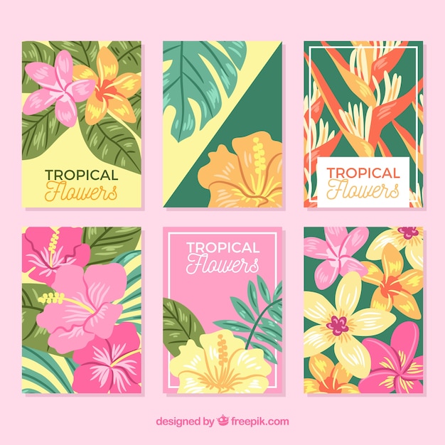 Exotische tropische bloemen kaarten