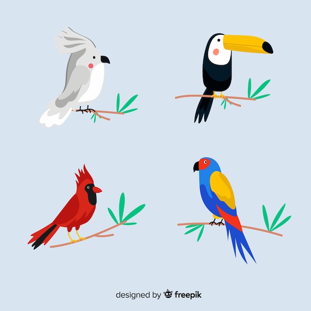 Gratis vector exotische tropische wilde vogels collectie