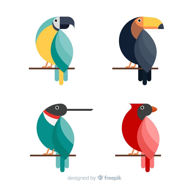 Exotische tropische wilde vogels collectie