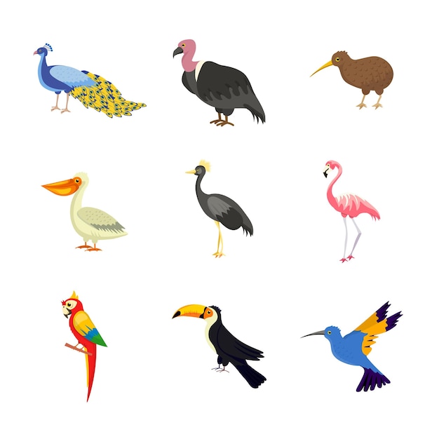 Gratis vector exotische vogels illustraties instellen afrikaanse aziatische wilde vogeldieren