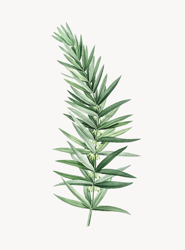 Gratis Vector fabriek
