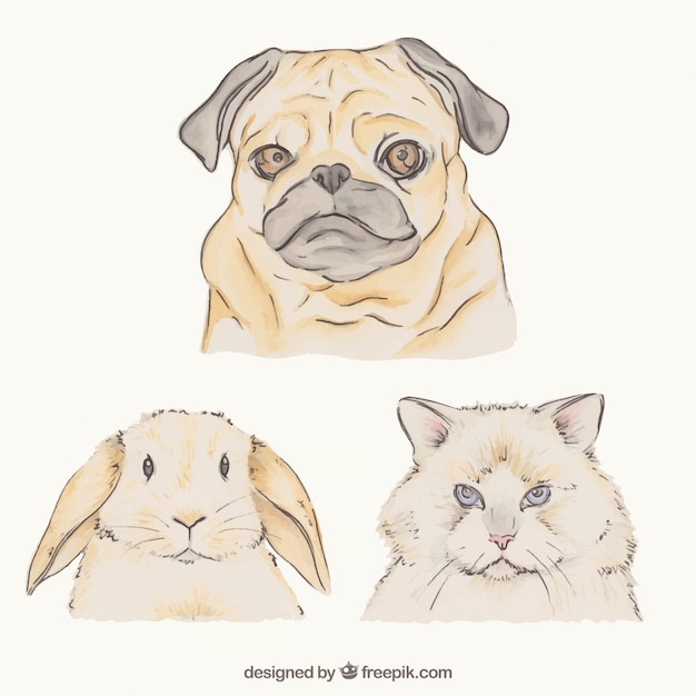 Gratis vector fabulous pak van de hand getekende dieren