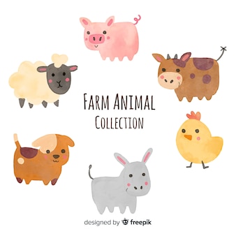 Farm animal collectio