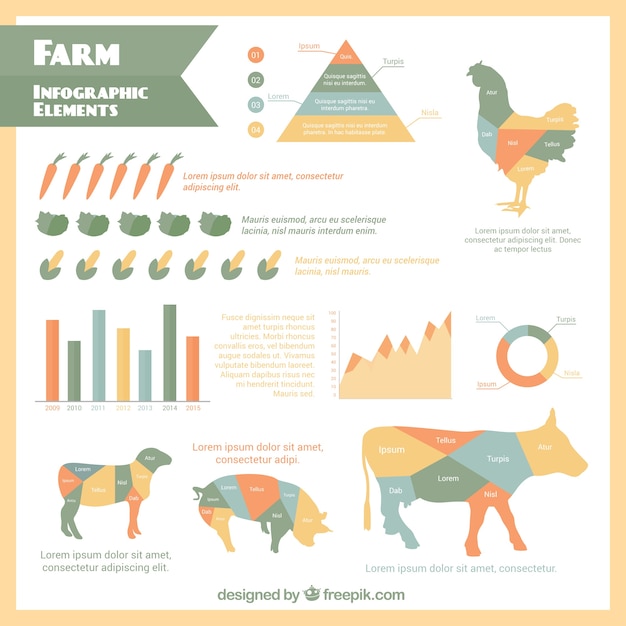 Gratis vector farm infographic