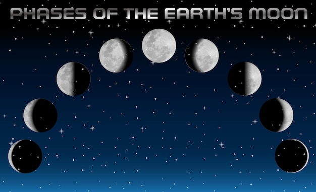 Gratis vector fasen van de maan voor wetenschappelijk onderwijs