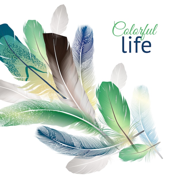 Gratis vector feathers realistisch ontwerp