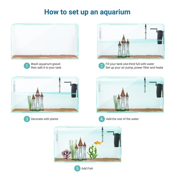 Fish tank aquarium setup realistische infographic gids stappen reiniging toevoegen grind water luchtpomp filter vis illustratie