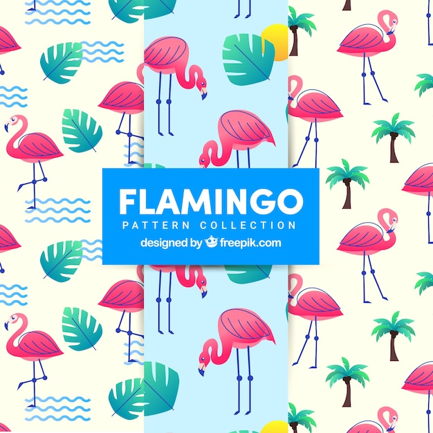 Flamenco zomer patroon