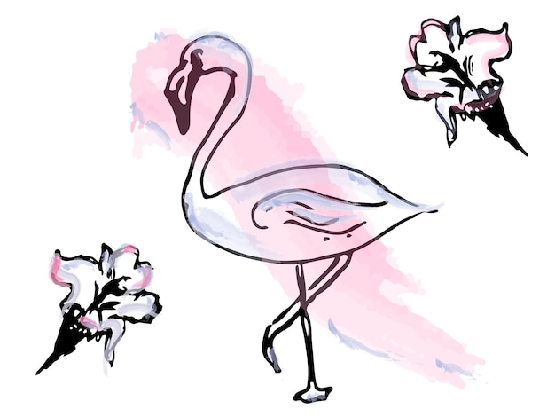 Flamingo aquarel lijntekeningen vector tropische thema posters