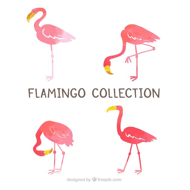 Flamingo&#39;s collectie met verschillende houdingen in vlakke stijl