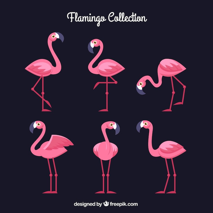 Gratis Vector flamingo&#39;s collectie met verschillende houdingen in vlakke stijl