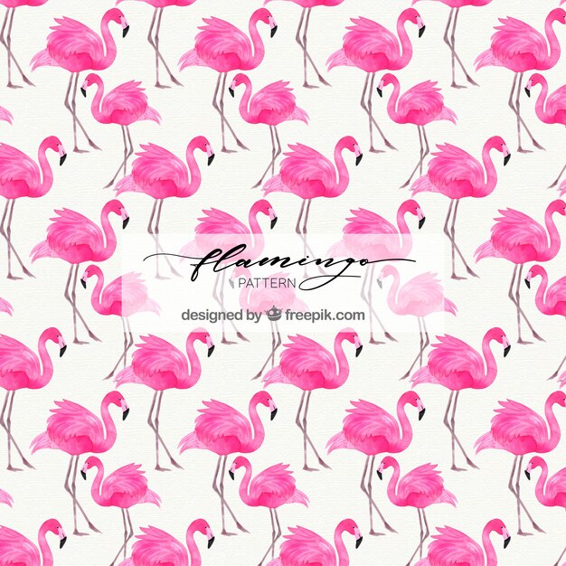 Flamingo&#39;s patroon in aquarel stijl