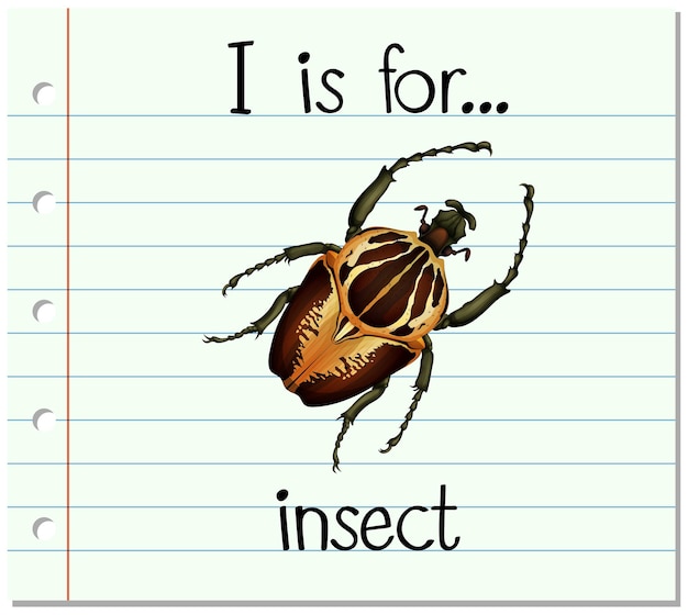 Gratis vector flashcard letter i is voor insecten