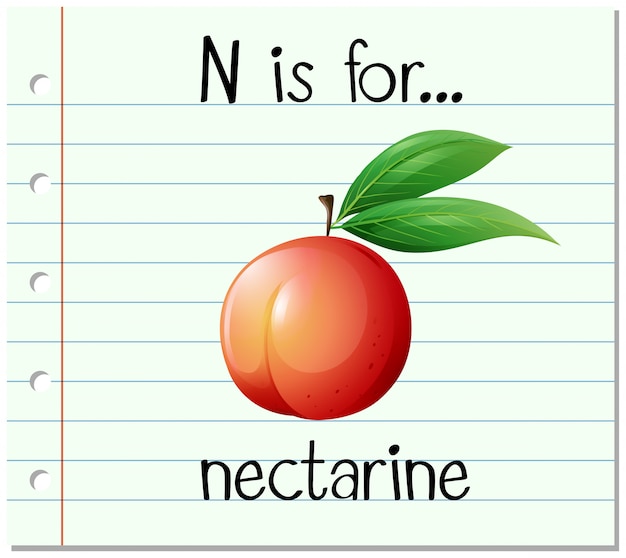 Gratis vector flashcard letter n is voor nectarine