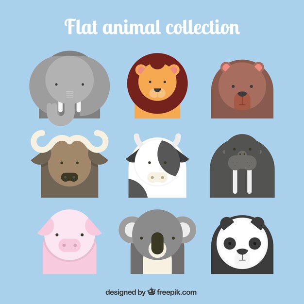 Flat Animal Collection