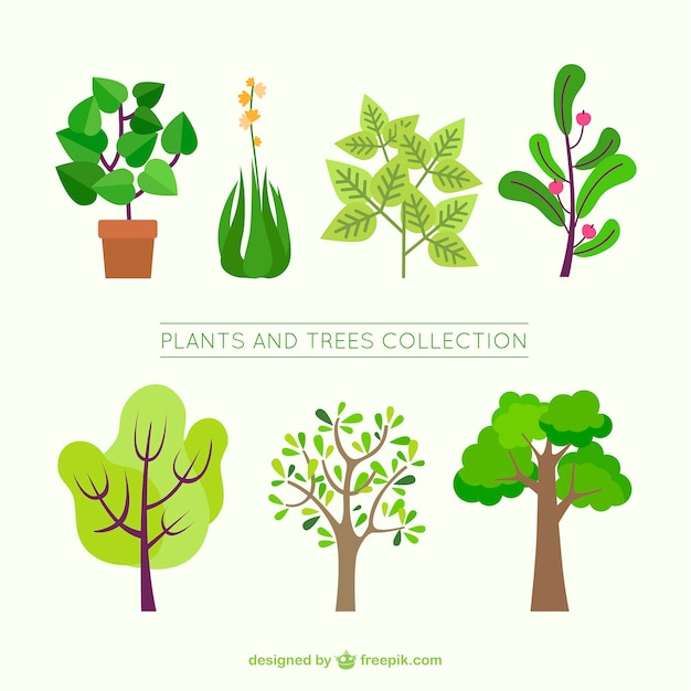 Flat collectie van decoratieve bomen en planten